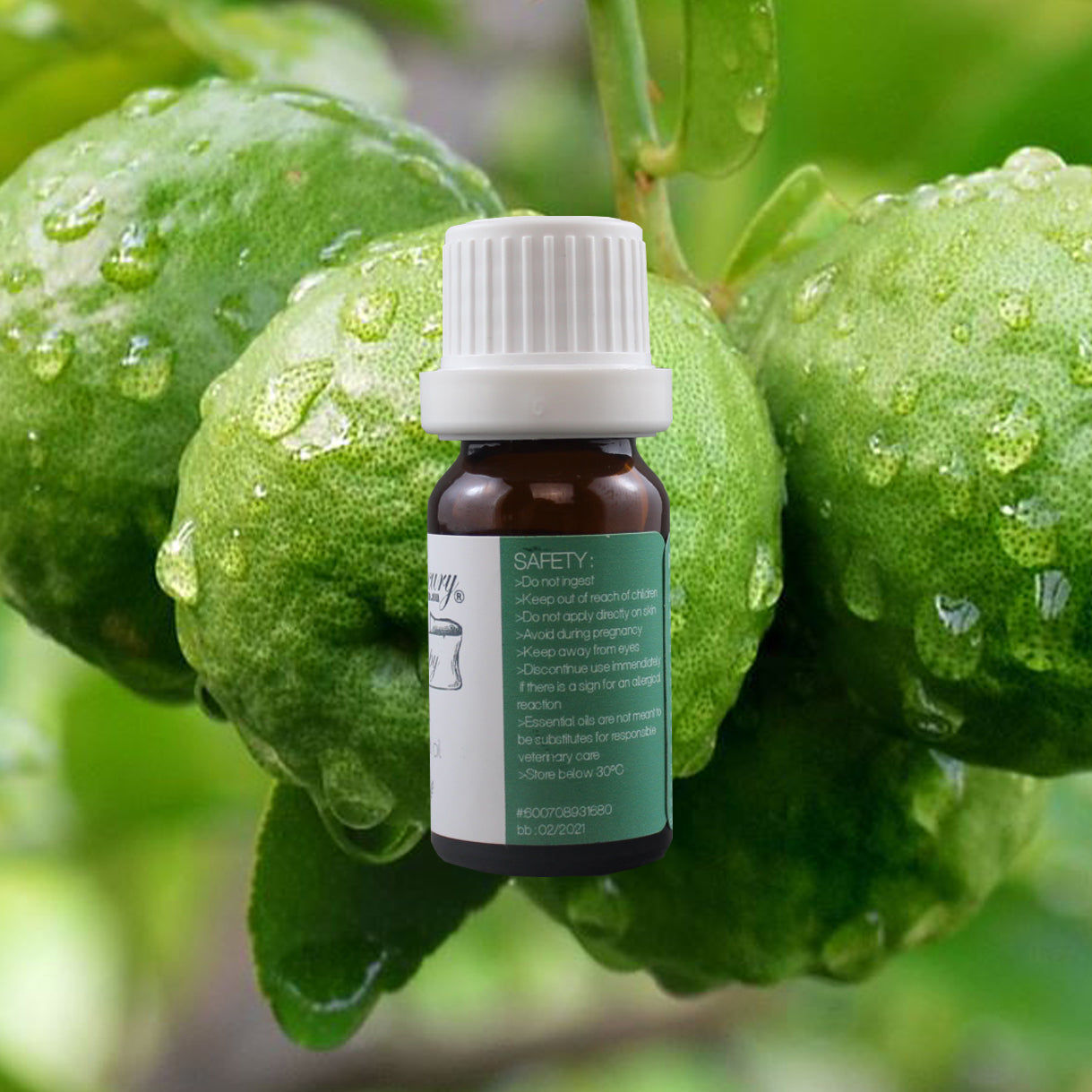 EquineLuxury "Healthy Coat" 100% Natural Horse Shampoo