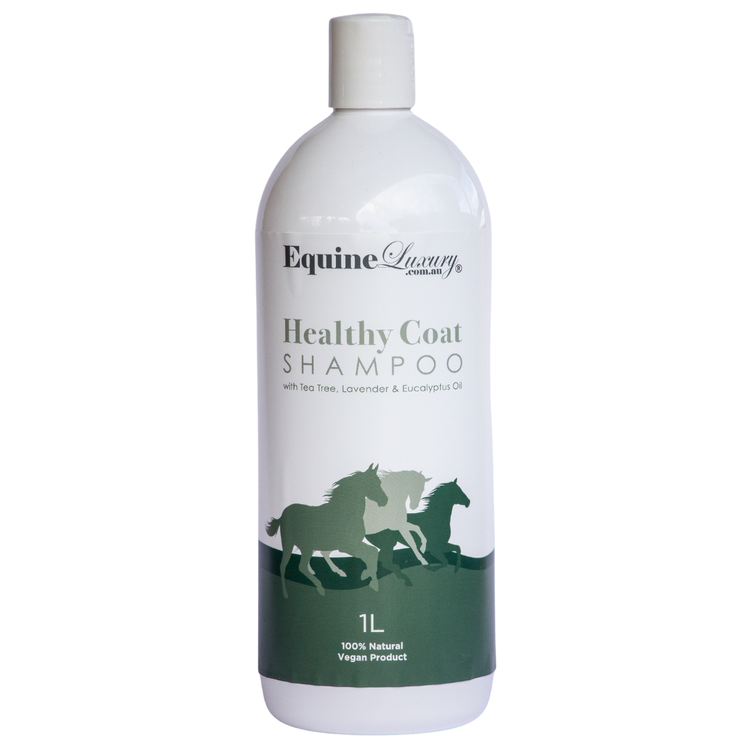 <transcy>EquineLuxury "Healthy Coat" 100% natürliches Pferdeshampoo</transcy>