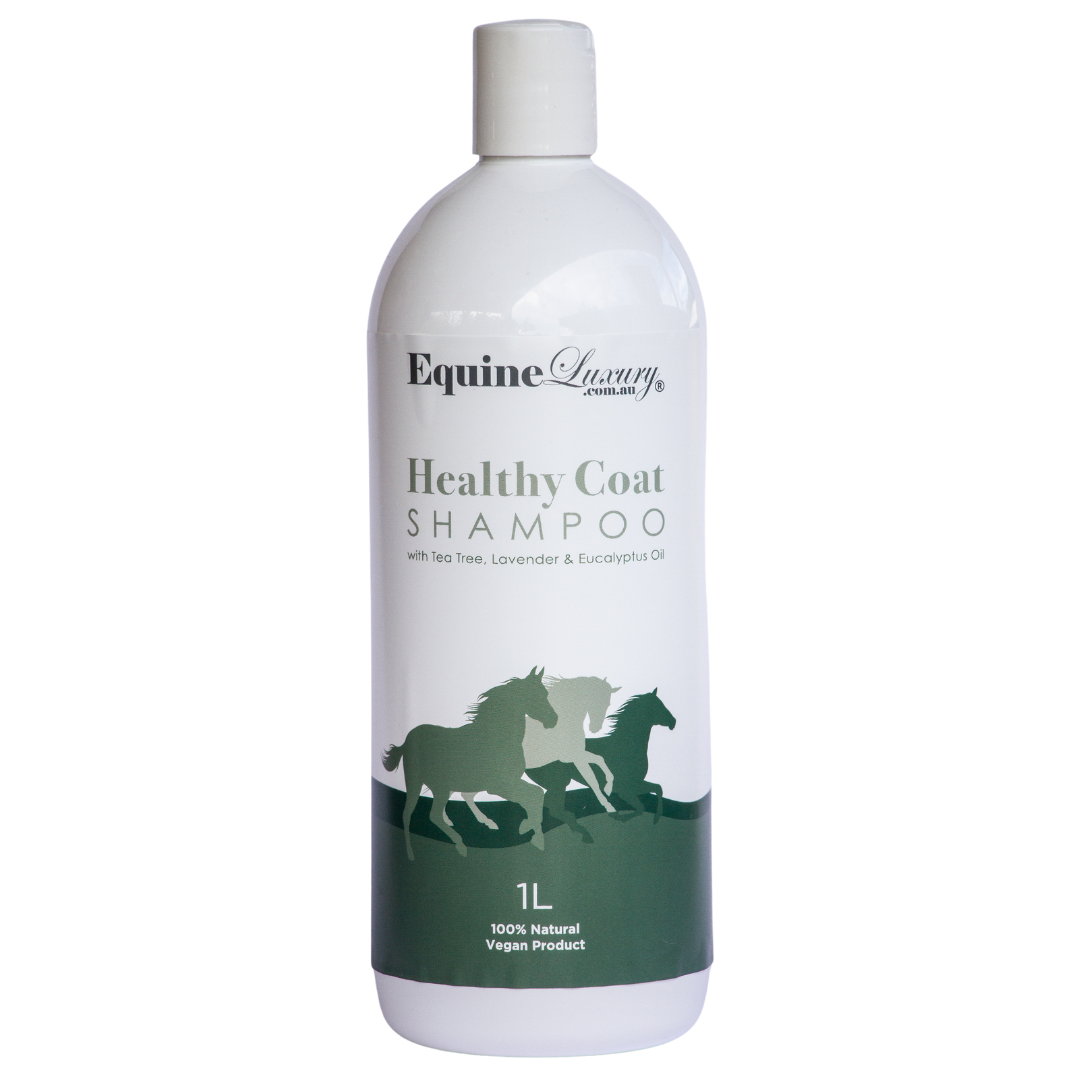 EquineLuxury "Healthy Coat" 100% Natural Horse Shampoo