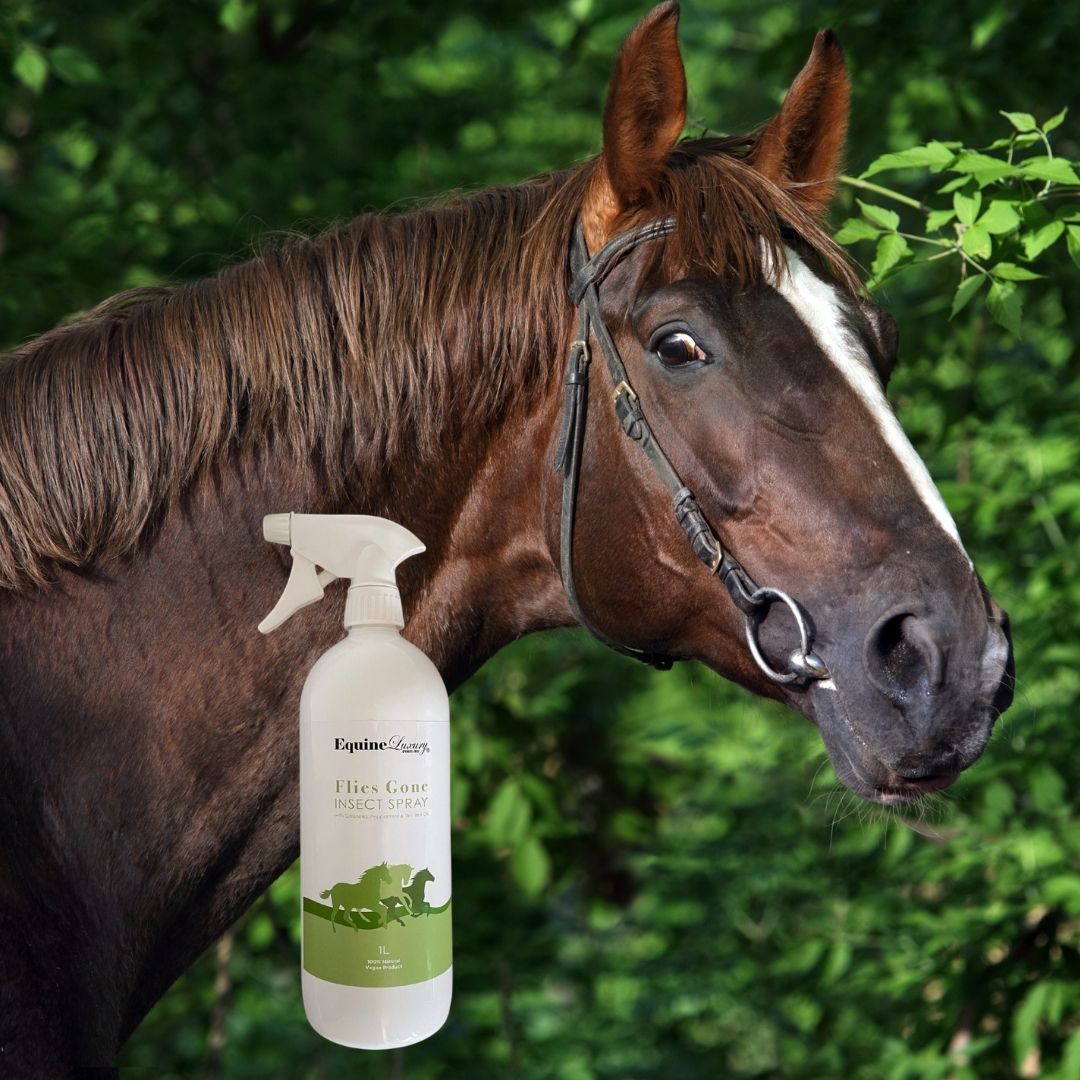 EquineLuxury "Flies Gone" Natural Insect Spray with Citronella, Peppermint & Tea Tree Oil