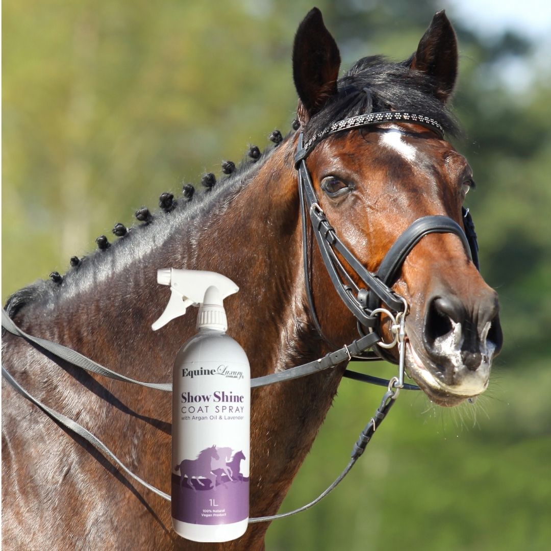 EquineLuxury "Show Shine" Natural Coat Spray