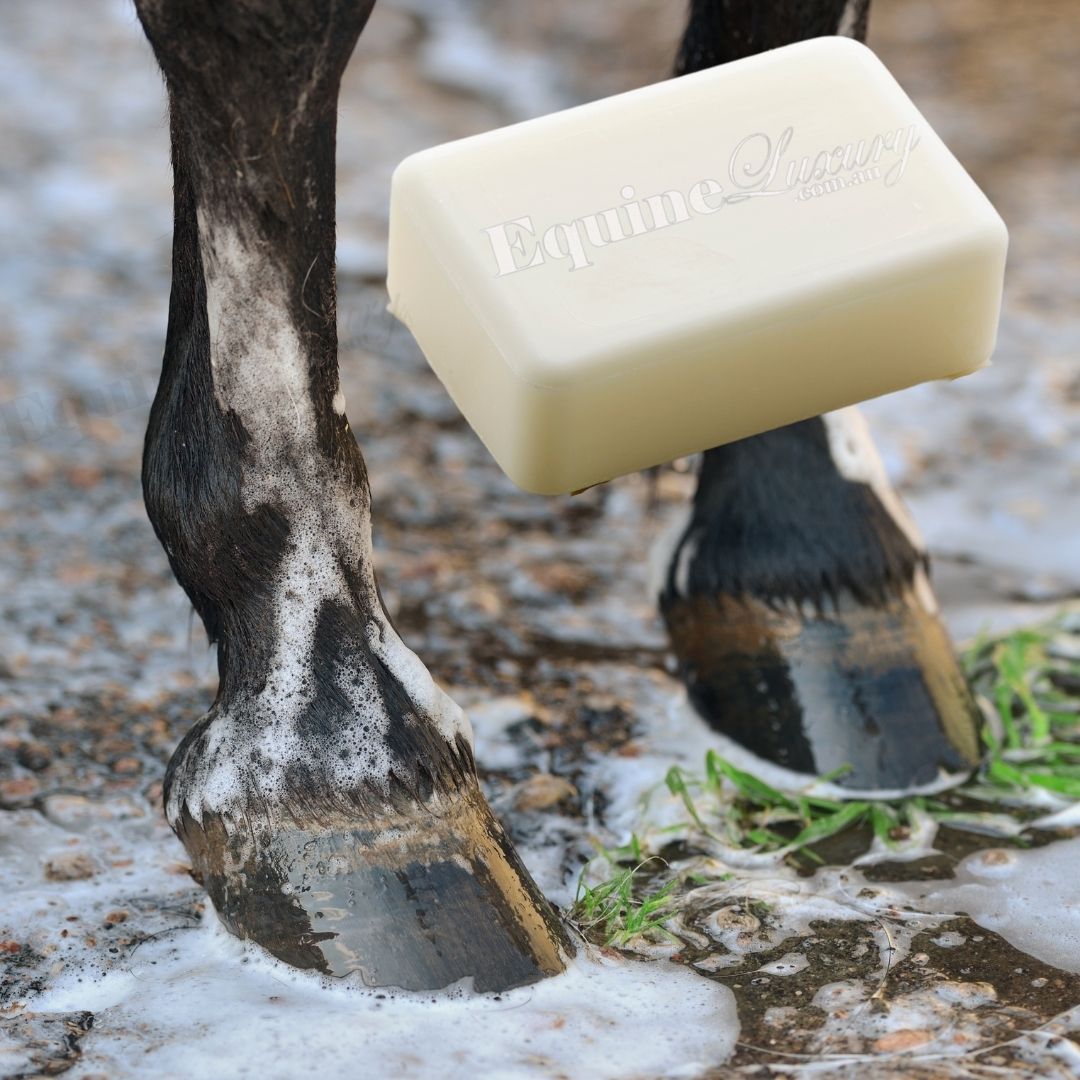 EquineLuxury "Rub & Scrub" 100% Natural Soap Bar with 100% Pure Peppermint & Eucalyptus Oil