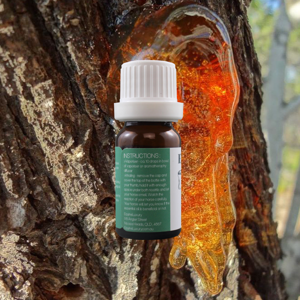 EquineLuxury "Healthy Coat" 100% Natural Horse Shampoo