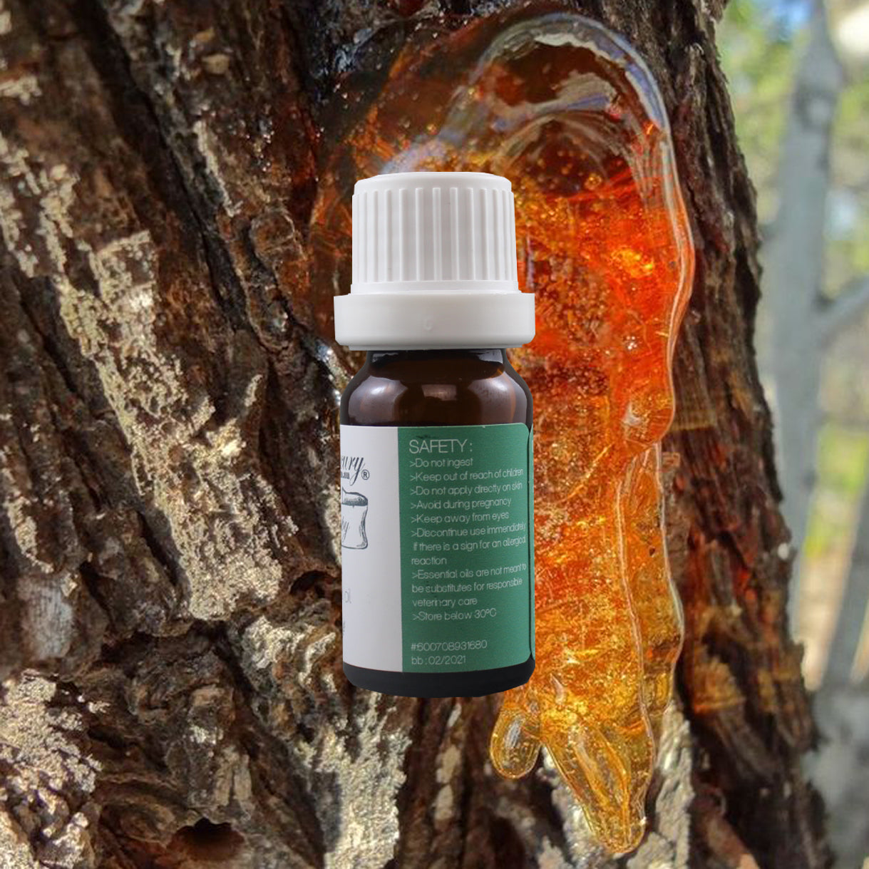 EquineLuxury "Healthy Coat" 100% Natural Horse Shampoo