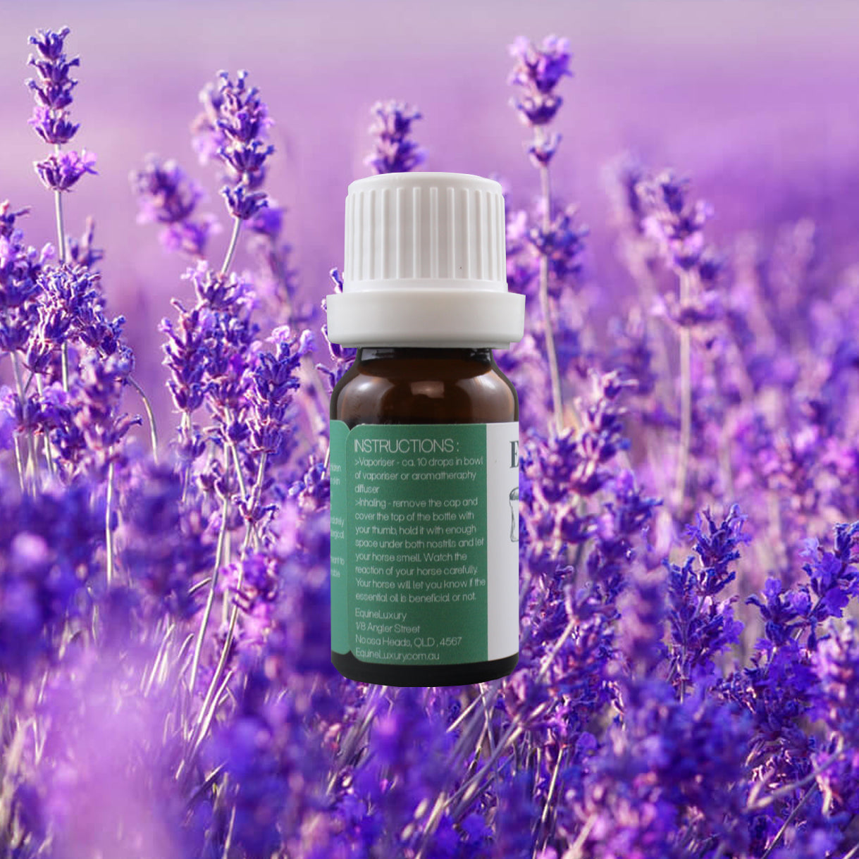 EquineLuxury "Healthy Coat" 100% Natural Horse Shampoo