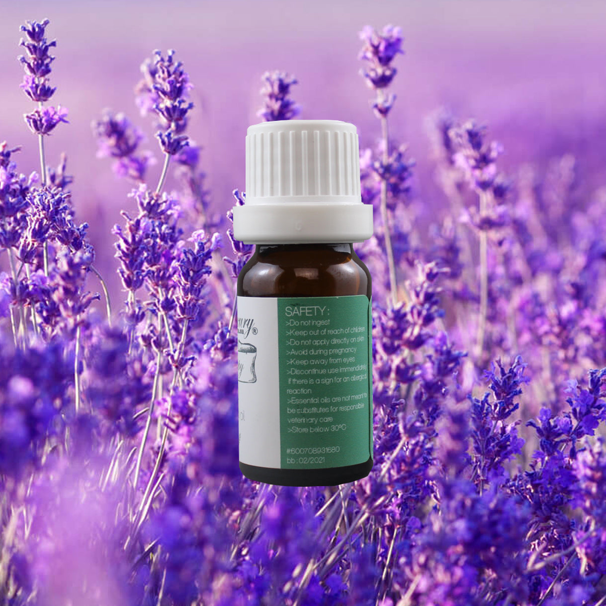 EquineLuxury "Healthy Coat" 100% Natural Horse Shampoo