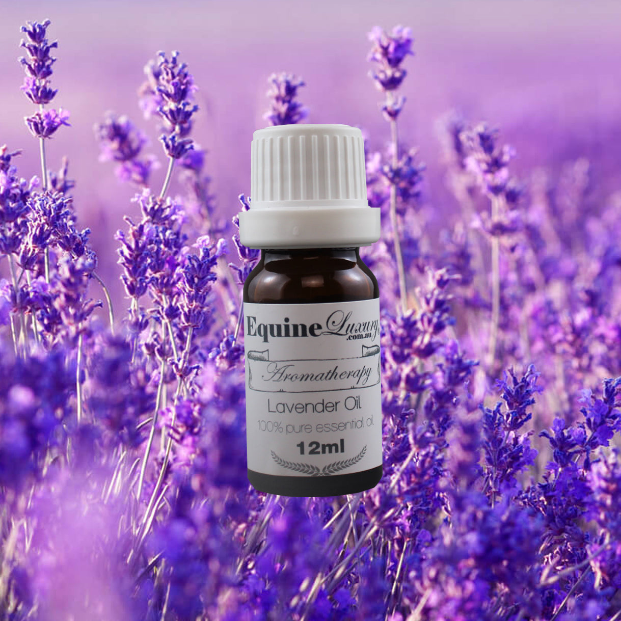 EquineLuxury "Healthy Coat" 100% Natural Horse Shampoo