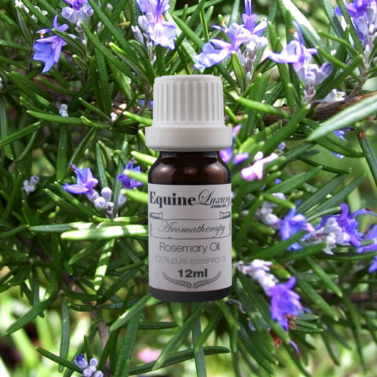 EquineLuxury "Healthy Coat" 100% Natural Horse Shampoo