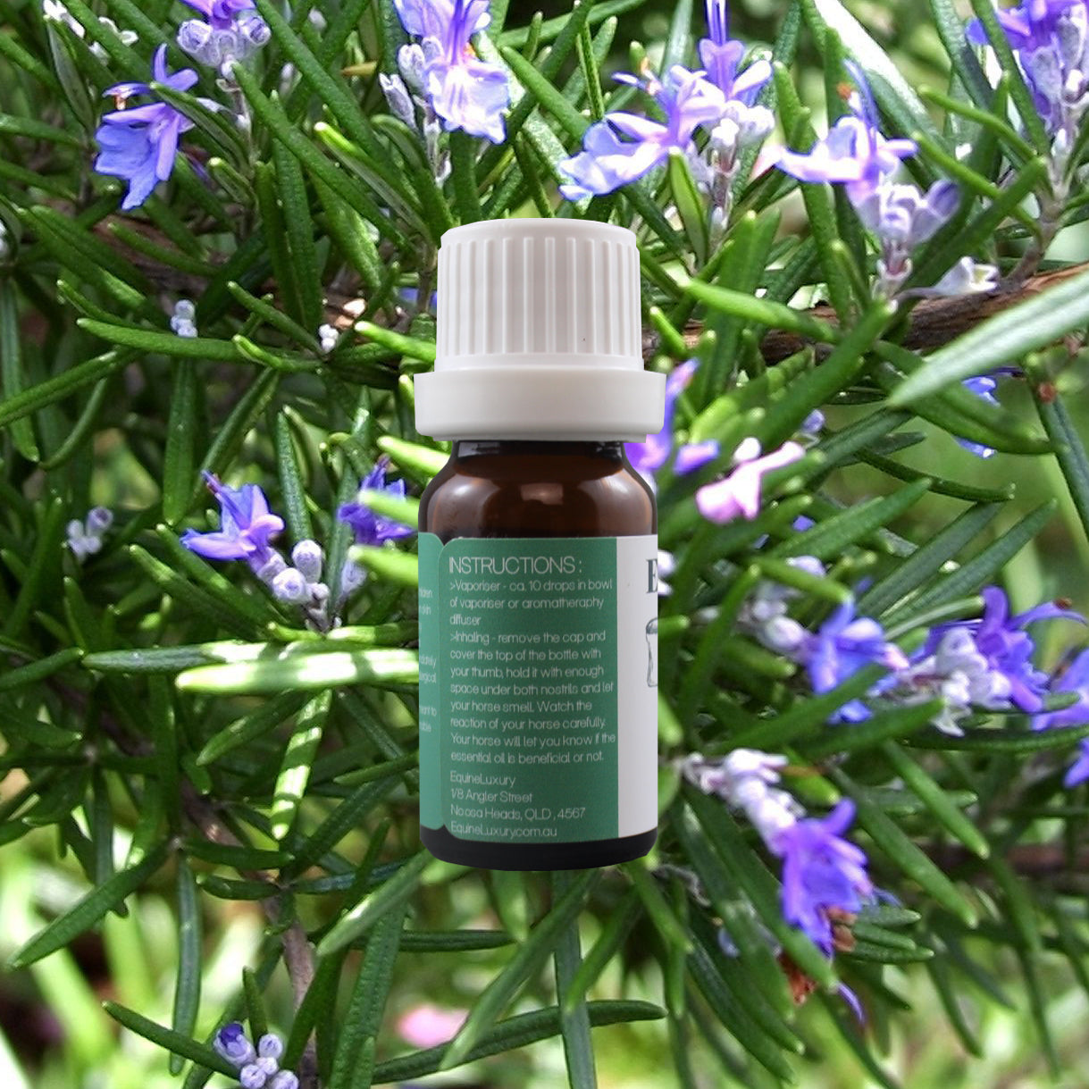 EquineLuxury "Healthy Coat" 100% Natural Horse Shampoo