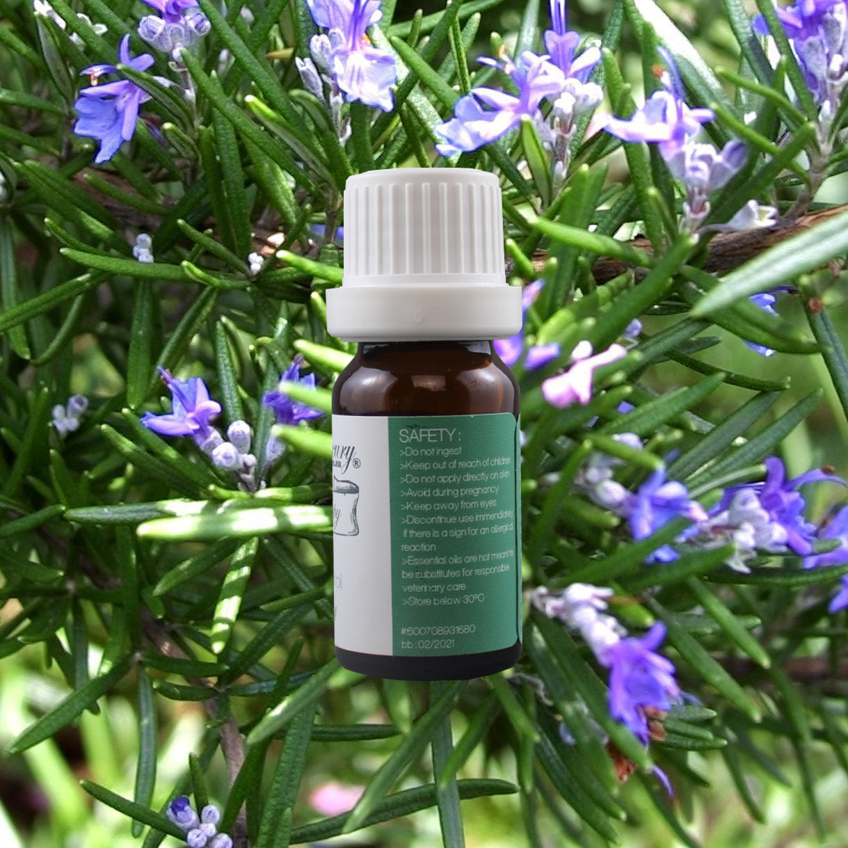 EquineLuxury "Healthy Coat" 100% Natural Horse Shampoo