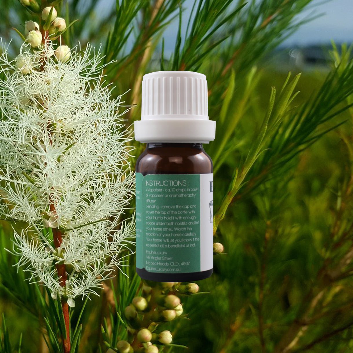 EquineLuxury "Healthy Coat" 100% Natural Horse Shampoo