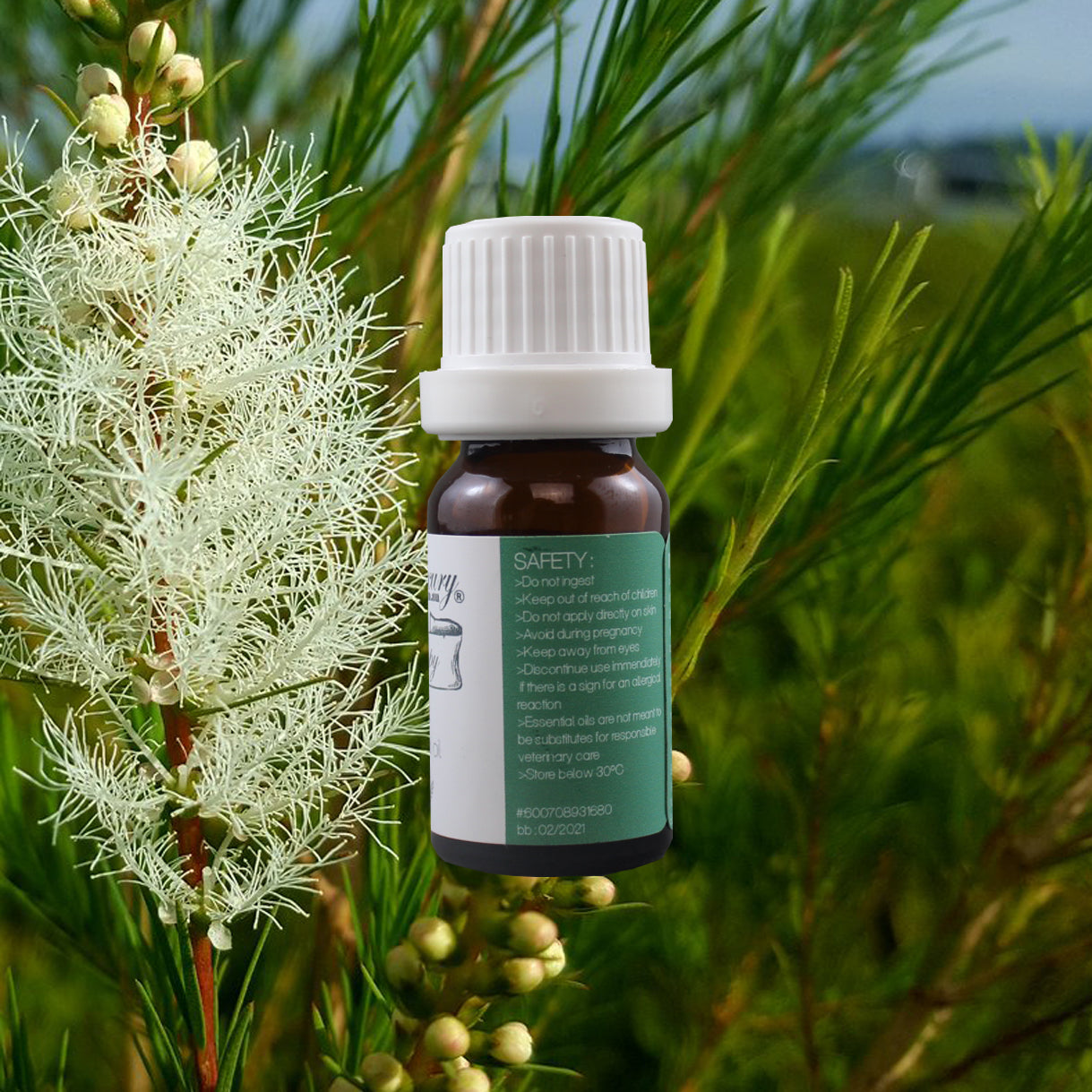 EquineLuxury "Healthy Coat" 100% Natural Horse Shampoo