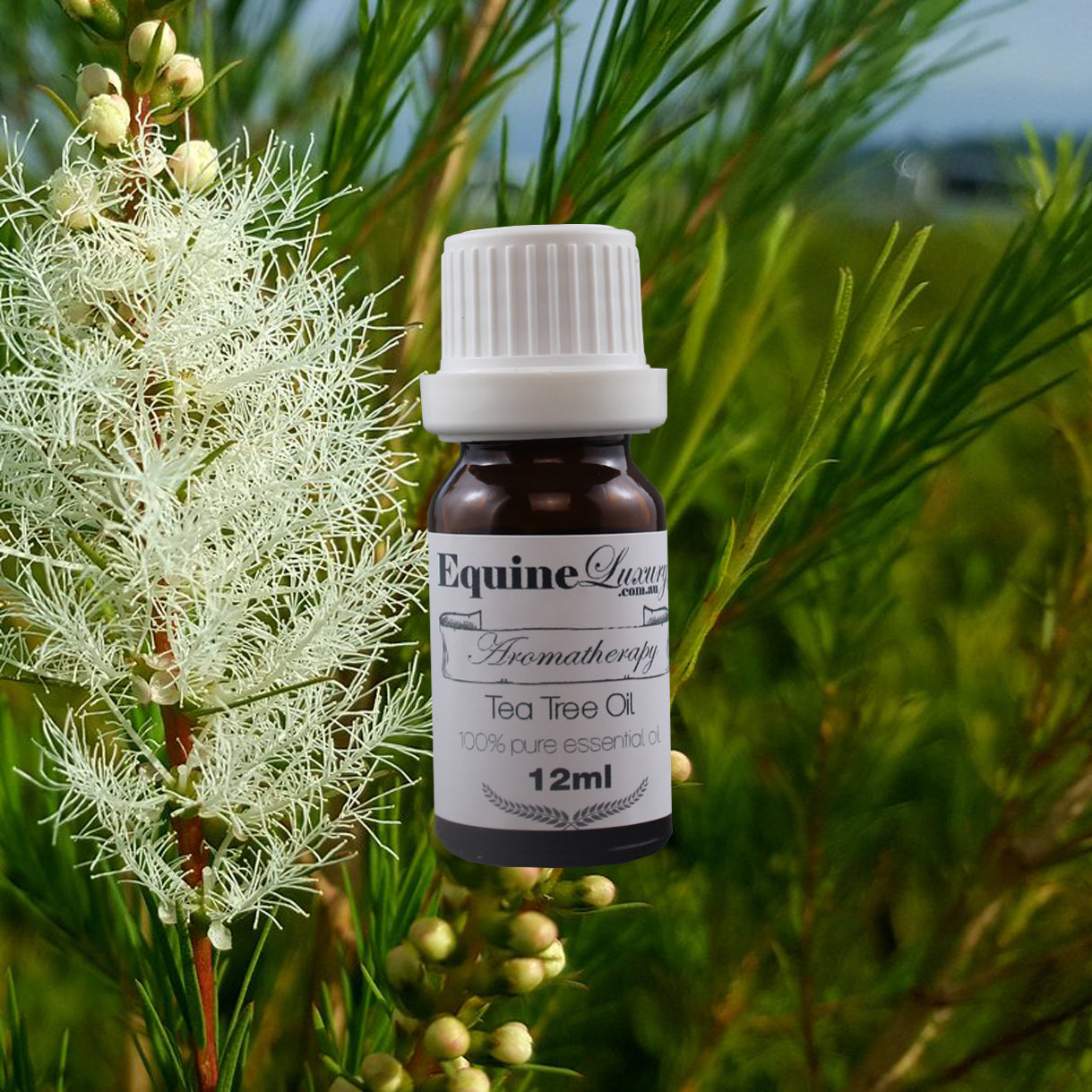 EquineLuxury "Healthy Coat" 100% Natural Horse Shampoo