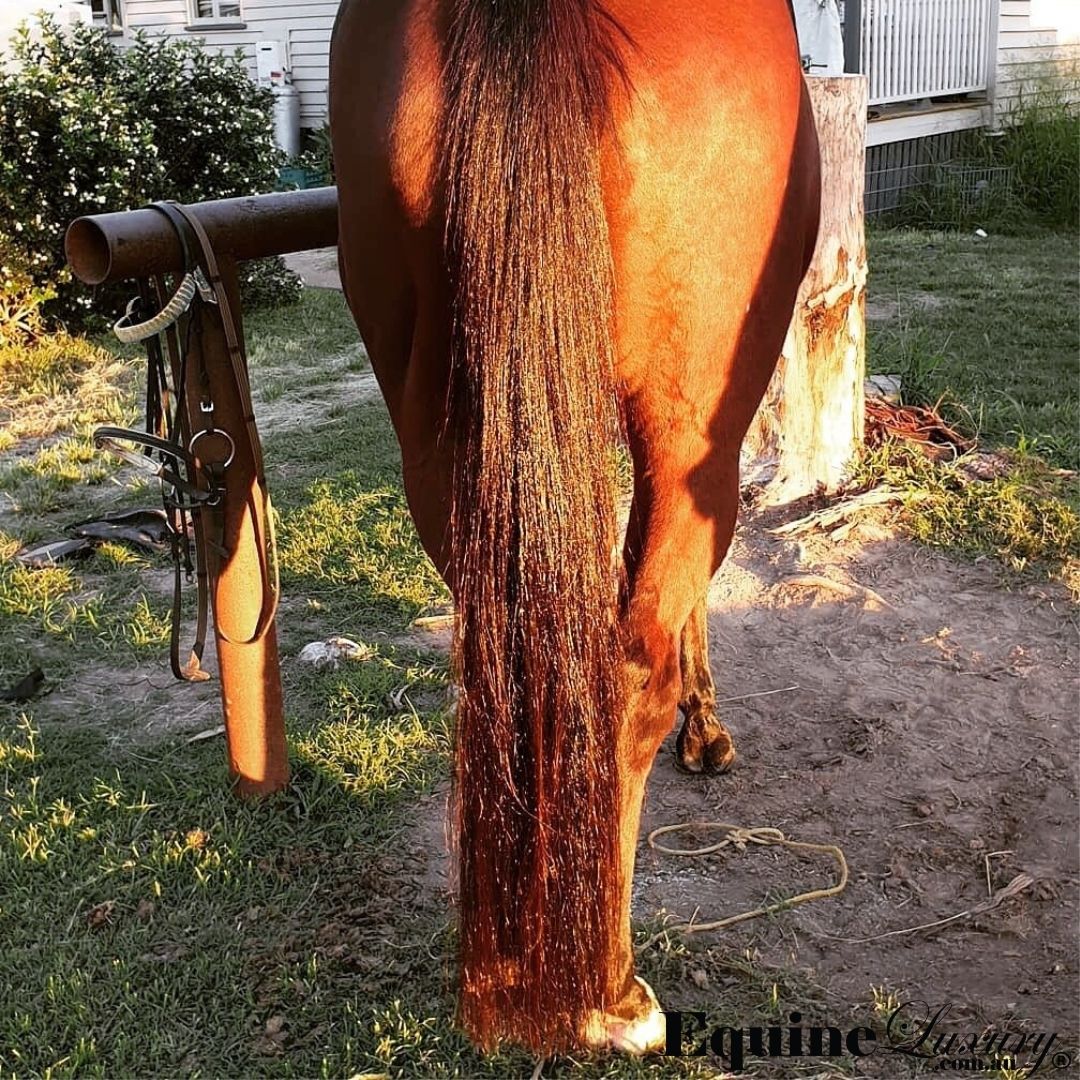 EquineLuxury "Shiny Coat" Natural Horse Conditioner