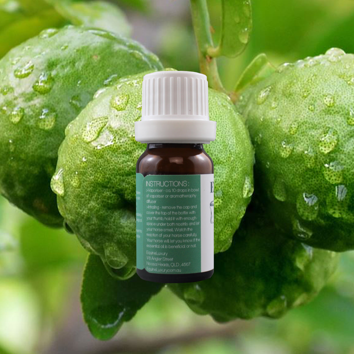 EquineLuxury "Healthy Coat" 100% Natural Horse Shampoo