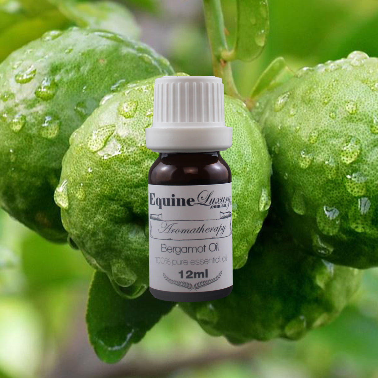 EquineLuxury "Healthy Coat" 100% Natural Horse Shampoo