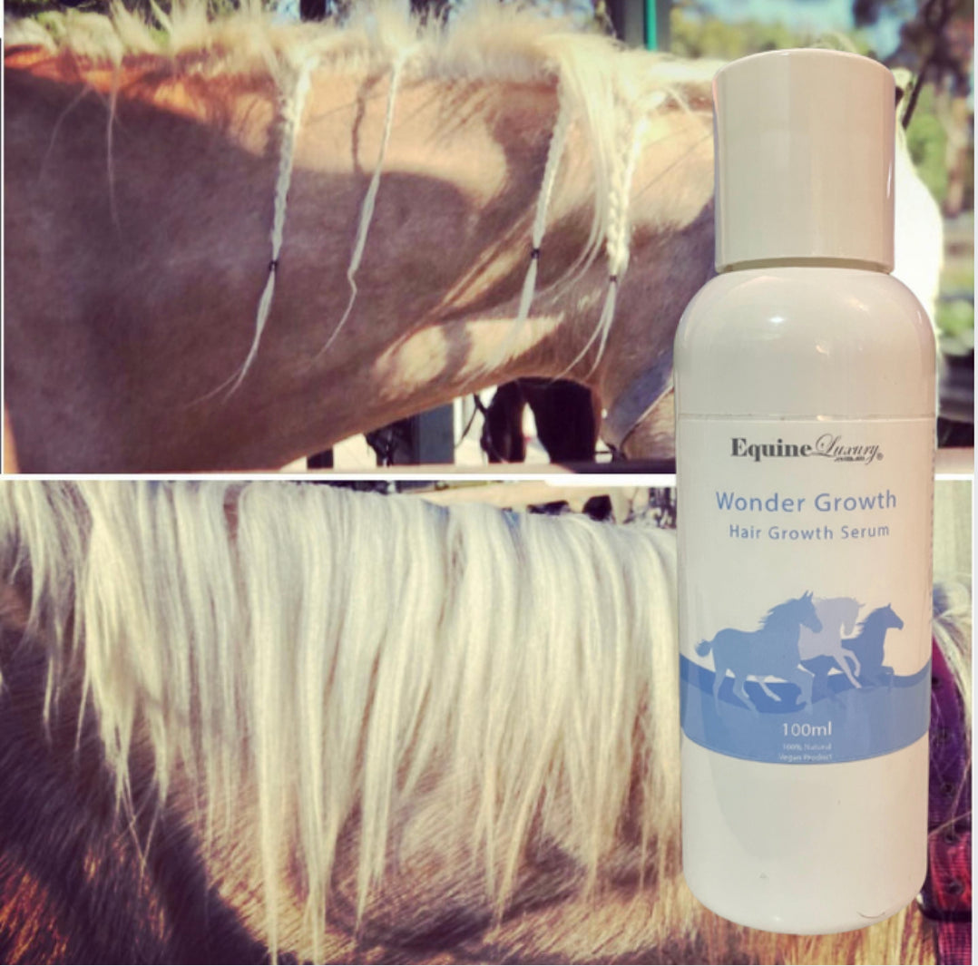 EquineLuxury "Wonder Growth" 100% Natural Hair Growth Serum