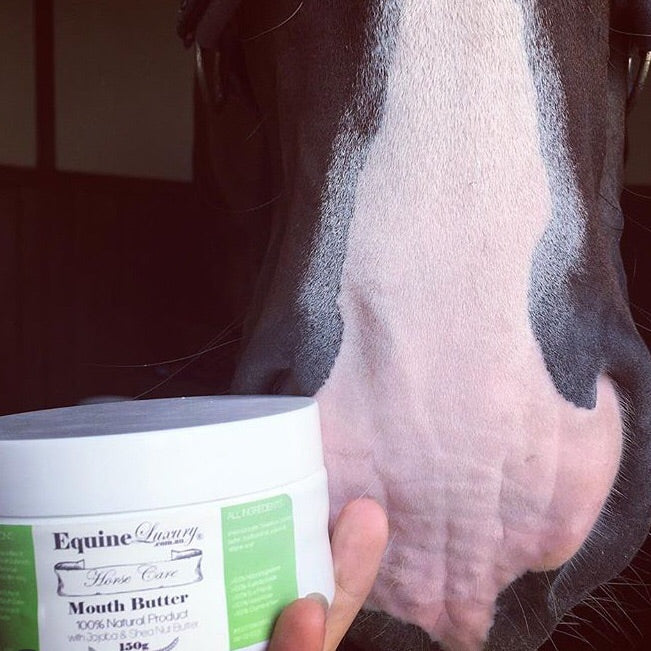 EquineLuxury Mouth Butter with Jojoba & Shea Nut Butter