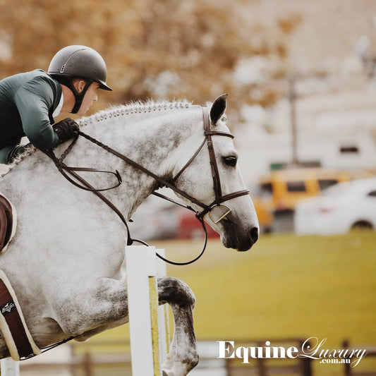 Get your horse back in shape