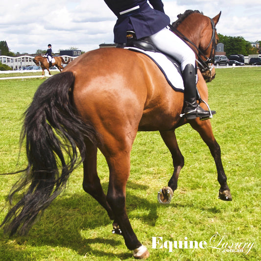 Benefits of horse riding