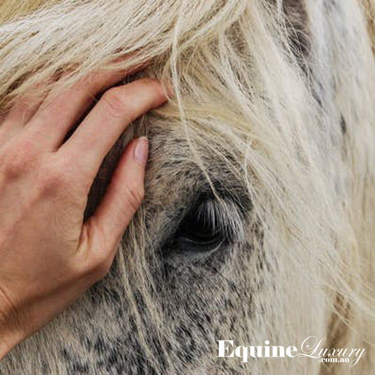 No Chemicals on my Hands, No chemicals on my Horse. - Learn about commonly used Chemicals and the Risks!