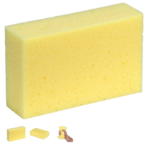 Wash Down Sponge