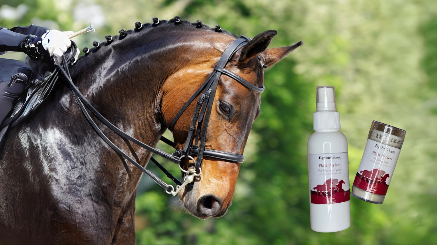 Premium Natural Horse Care Products